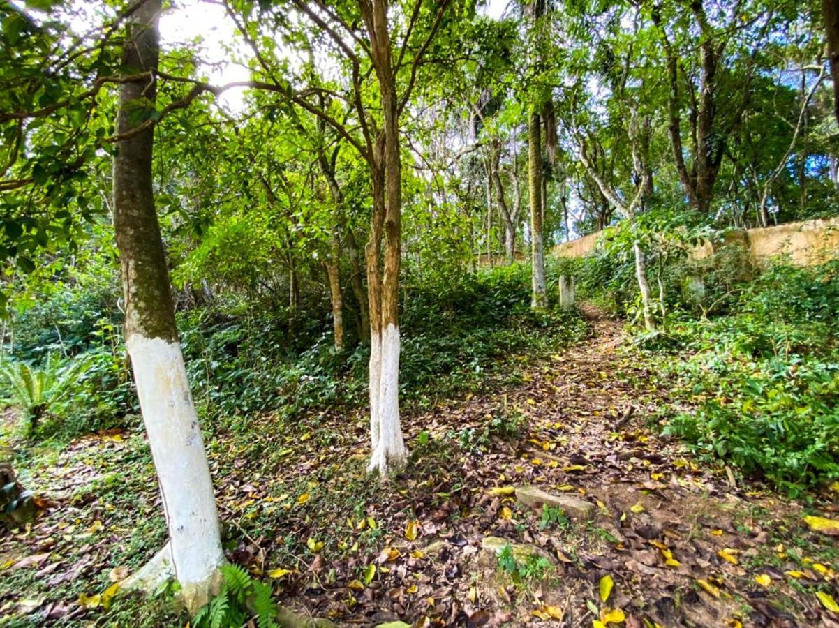 Apartamento Mar Vermelho Balneário Camboriú エクステリア 写真